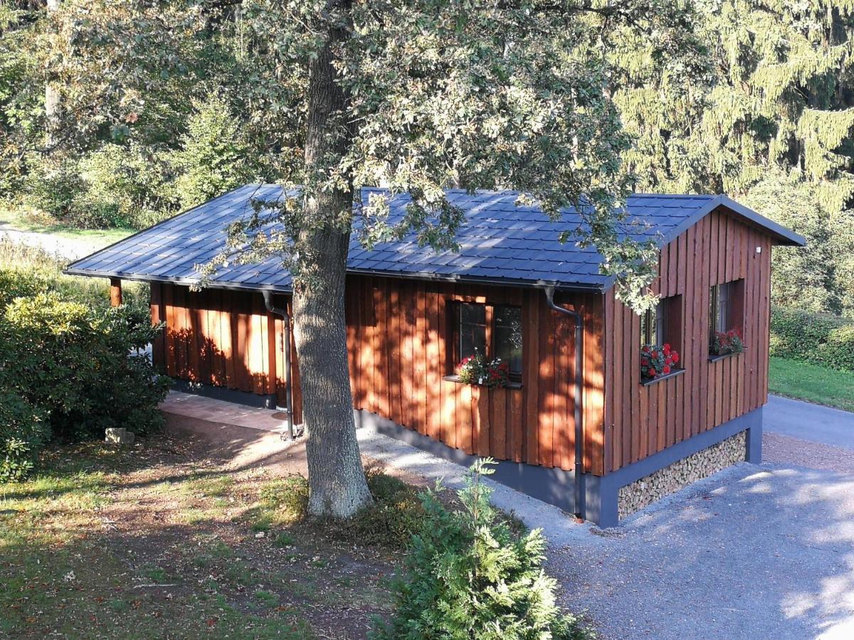 شقة Haus Waldfrieden Altenberg المظهر الخارجي الصورة
