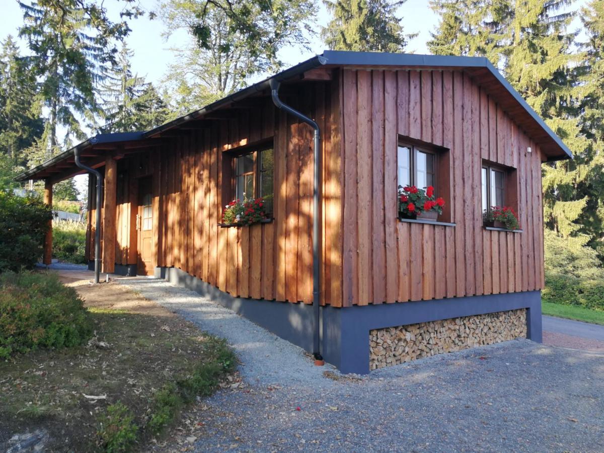 شقة Haus Waldfrieden Altenberg المظهر الخارجي الصورة